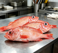 Grouper